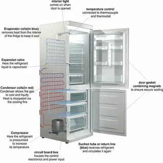 Refrigerator Components and Maintenance Guide